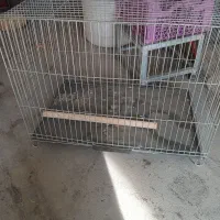 1عدد قفس و1عدد لونه