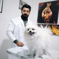 اصلاح و شست‌وشو (سگ گربه خرگوش ) در منزل شما|خدمات پیشه و مهارت|شیراز, فرهنگ شهر|دیوار
