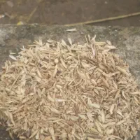 خوراک دام نیم دانه|عمده‌فروشی|آق قلا, |دیوار