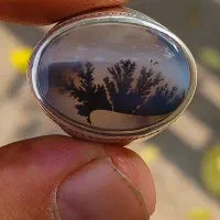 انگشتر شجر