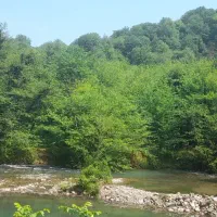 اجاره سوئیت ویلایی