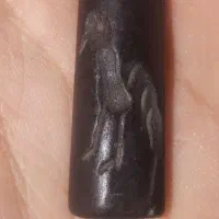 هبهاب پادشاهی|کلکسیون اشیاء عتیقه|اهواز, کیان اباد|دیوار