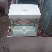 آکواریوم شیشه خم ماهیران