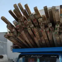 خریدار وفروش چوب مربا وچندل مربع درکل استان