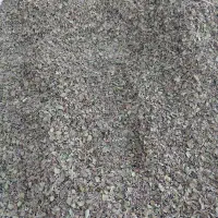 آویشن برگ پهن گرمسیر