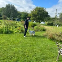 زمین مسکونی مله انبارکوهچنار