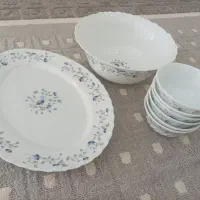 ظروف آرکوپال|ظروف سرو و پذیرایی|قائن, |دیوار