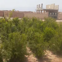 فروش-زمین-کشاورزی-مناسب-برای-ساخت-خانه-باغ