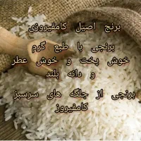 پخش برنج کامفیروز امسالی درجه یک|خوردنی و آشامیدنی|اصفهان, دوطفلان|دیوار