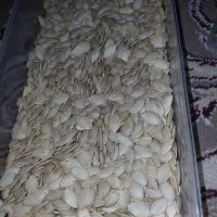 تخمه کدو اعلا درجه یک کسی