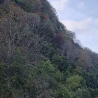 زمین مسکونی