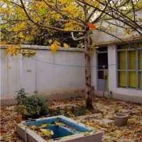 خانه-امام-هادی-250-متری-ویلایی-سعادت-پیامبراعظم