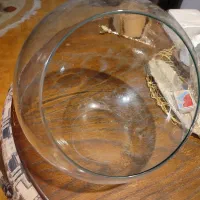 تراریوم کوچک|ماهی|صدرا-فارس, فاز ۱|دیوار