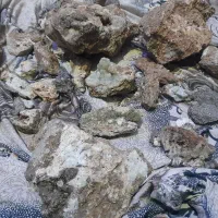 سنگ هار زینتی وکلکسیونی