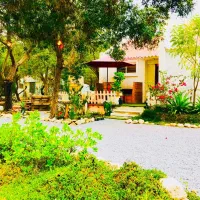 مراقبت و نگهداری و سرکشی به منزل و وسایل شما