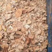فروش نان خشک تمیز