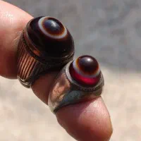 سه پوستهای باباقوری بقرانی|کلکسیون اشیاء عتیقه|بندر ماهشهر, |دیوار