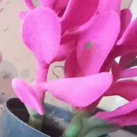 سابلیمینال