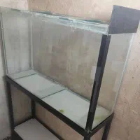 آکواریوم در حد نو