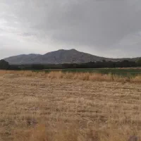 کود شیمیایی سفید