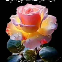لطفا بخونید مهمه