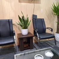 استخدام مشاورین مبتدی و حرفه ای