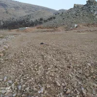 زمین کشاورزی برای اجاره میخام