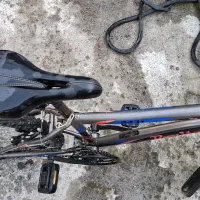 دورچه سایز 24