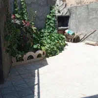 سوییت-درود-قدمگاه