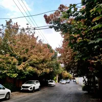 اجاره تجاری، صفر، پاخور بر معبر ، دوطبقه|اجارهٔ مغازه و غرفه|شیراز, میرزاکوچک خان|دیوار