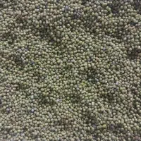 ماش درجه ۱|خوردنی و آشامیدنی|کوهدشت, |دیوار