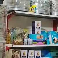 پرنده سرای امیر