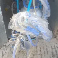 شیردوش دوواحده گاوی|ماشینآلات صنعتی|بیلوار, |دیوار