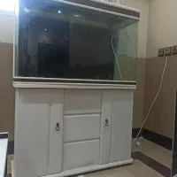 فروش اکواریوم