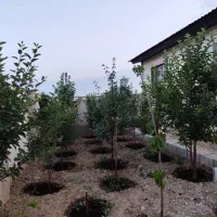 ۵۰۰متر زمین شهرکی/۱۰۰متر بنا/ برق/آبسرد زان|فروش خانه و ویلا|دماوند, دماوند|دیوار