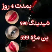 تخفیف شید لب و بن مژه