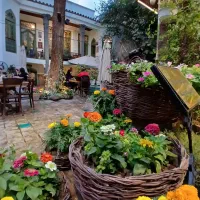 سالندار و کمک آشپز