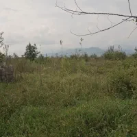 7700 متر زمین باغی مناسب گلخانه رودسر شکرپس|فروش زمین و ملک کلنگی|املش, |دیوار