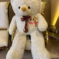 خرس بزرگ(شاسخین)