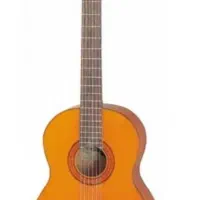 گیتار آریا ak80