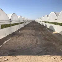 گلخانه اجاره ای