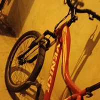 دوچرخه 24