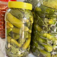 ترشی خانگی|خوردنی و آشامیدنی|قم, نخودی|دیوار