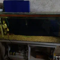 اکواریم با پایه