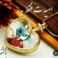 کارت ملی گم شده بنام عباس شیروانی زاده