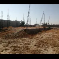 زمین|فروش زمین و ملک کلنگی|شبانکاره, |دیوار