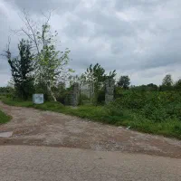 زمین ۲۵۱متری مسکونی لولمان دور دیوار