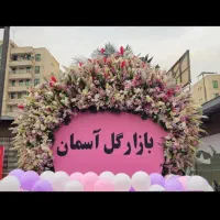 گیاهان اپارتمانی و بیرونی زیر قیمت