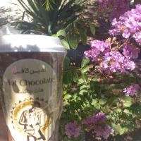 قهوه|عمده‌فروشی|مشهد, مصلی (کارمندان اول)|دیوار