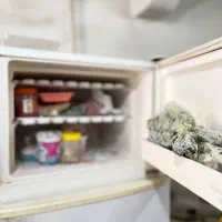 یخچال و فریزر|یخچال و فریزر|رشت, حمیدیان|دیوار